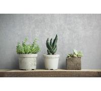 Non-Woven Wallpaper Concrete Look Light grey Silver Metallic 82376 (3,14£/1qm)