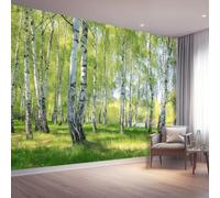 Non-Woven Wallpaper Mural,Silver Birch Forest Nature Green Wall Covering for Living Room,200 x 140(WxH) Photo Mural,Professional-Grade Feature Wall Solution
