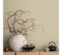 Non-woven wallpaper plain wood look grain pattern beige cream 35358 (3,12£/1qm)