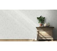 Non-Woven Wallpaper Rasch Vintage Plaster Look Gray Silver 315745 (3,14£/1qm)