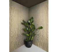 Non-woven wallpaper wave pattern texture moiré gold metallic 34922 (9,26£/1qm)