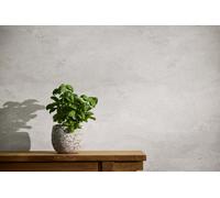 Non-woven wallpaper waves pattern concrete look grey white 78656-6 (3,26£/1qm)