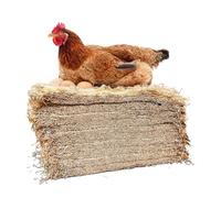 NONDK Premium Square Coconut Palm Chicken Nesting Mat for Hens, Laying Hen Nesting Pads,Farm, Ranch Egg Nest Mat