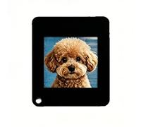 NONDK Wireless Transmission NFC Function Memory E-Paper Ink 1.54 Inch 4 Colors Display Screen Image Keychain Ink Screen Black