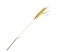 NONGYU Participatory Puss Trailer Stick Toy With Down And Toll For Catling Play Exercise Mixture Strengthened Puss Toy