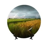 NONHAI 10in Bone China Decorative Plate with Display Ceramic Ornament Plates Paddy Rice Field Dinner Plate Crafts Decorative PorcelainPlates for Home Office Club Decor