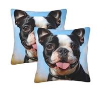 NONHAI 2PCS Decorative Throw Pillow Covers 16"x16" Square Pillowcases Covers Lovely Boston Terrier Pillowcases Modern Farmhouse Home Decor Sofa Cushions Covers for Couch Bed Living Room