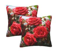 NONHAI 2PCS Decorative Throw Pillow Covers 22"x22" Square Pillowcases Covers Red Roses Bush in The Garden Pillowcases Modern Farmhouse Home Decor Sofa Cushions Covers for Couch Bed Living Room