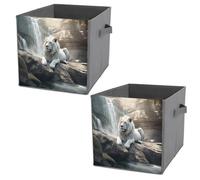 NONHAI Collapsible Storage Bins with Dual Handles Fabric Storage Basket Foldable Cubes Organizer Baskets Lion on Rock Storage Boxes for Organizing Clothing Cube Storage Organizer Bins