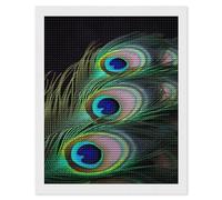 NONHAI Diamond Painting Kits for Adults - DIY Diamond Art Kits for Beginners - Full 5D Paint Drill Diamond Dots Paintings- Green Peacock Feather Diamonds Pictures Gem Art and Craft Wall Decor 16"x20"