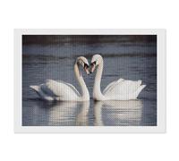 NONHAI Diamond Painting Kits for Adults - DIY Diamond Art Kits for Beginners - Full 5D Paint Drill Diamond Dots Paintings- Romantic White Swan Diamonds Pictures Gem Art and Craft Wall Decor 8"x12"