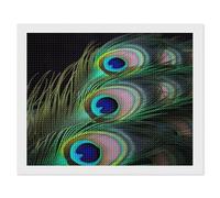 NONHAI Diamond Painting Kits for Adults - DIY Diamond Art Kits for Beginners - Full 5D Paint Drill Diamond Dots Paintings- Green Peacock Feather Diamonds Pictures Gem Art and Craft Wall Decor 16"x20"