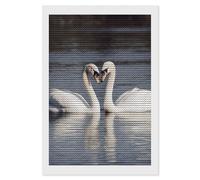 NONHAI Diamond Painting Kits for Adults - DIY Diamond Art Kits for Beginners - Full 5D Paint Drill Diamond Dots Paintings- Romantic White Swan Diamonds Pictures Gem Art and Craft Wall Decor 8"x12"