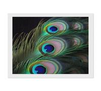 NONHAI Diamond Painting Kits for Adults - DIY Diamond Art Kits for Beginners - Full 5D Paint Drill Diamond Dots Paintings- Green Peacock Feather Diamonds Pictures Gem Art and Craft Wall Decor 12"x16"