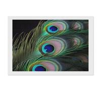NONHAI Diamond Painting Kits for Adults - DIY Diamond Art Kits for Beginners - Full 5D Paint Drill Diamond Dots Paintings- Green Peacock Feather Diamonds Pictures Gem Art and Craft Wall Decor 8"x12"