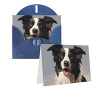 NONHAI Greetings Cards with Envelopes Thinking of You Card Border Collie Blank Note Card All Occasion Greeting Cards for Birthday, Baby Shower, Congratulations Wedding Thank You Card