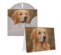 NONHAI Greetings Cards with Envelopes Thinking of You Card Golden retriever Blank Note Card All Occasion Greeting Cards for Birthday, Baby Shower, Congratulations Wedding Thank You Card