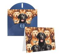 NONHAI Greetings Cards with Envelopes Thinking of You Card labrador retriever Dogs Blank Note Card All Occasion Greeting Cards for Birthday, Baby Shower, Congratulations Wedding Thank You Card