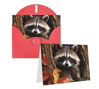 NONHAI Greetings Cards with Envelopes Thinking of You Card Raccoon in The Fall Tree Hole Blank Note Card All Occasion Greeting Cards for Birthday, Baby Shower, Congratulations Wedding Thank You Card