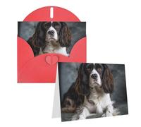 NONHAI Greetings Cards with Envelopes Thinking of You Card Spaniel On The Sofa Blank Note Card All Occasion Greeting Cards for Birthday, Baby Shower, Congratulations Wedding Thank You Card