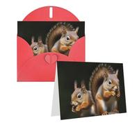 NONHAI Greetings Cards with Envelopes Thinking of You Card Squirrel Animal Blank Note Card All Occasion Greeting Cards for Birthday, Baby Shower, Congratulations Wedding Thank You Card