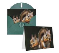 NONHAI Greetings Cards with Envelopes Thinking of You Card Squirrel Animal Blank Note Card All Occasion Greeting Cards for Birthday, Baby Shower, Congratulations Wedding Thank You Card