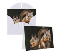 NONHAI Greetings Cards with Envelopes Thinking of You Card Squirrel Animal Blank Note Card All Occasion Greeting Cards for Birthday, Baby Shower, Congratulations Wedding Thank You Card