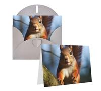 NONHAI Greetings Cards with Envelopes Thinking of You Card Squirrel Funny Animal Blank Note Card All Occasion Greeting Cards for Birthday, Baby Shower, Congratulations Wedding Thank You Card