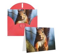 NONHAI Greetings Cards with Envelopes Thinking of You Card Squirrel Funny Animal Blank Note Card All Occasion Greeting Cards for Birthday, Baby Shower, Congratulations Wedding Thank You Card