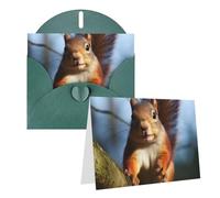 NONHAI Greetings Cards with Envelopes Thinking of You Card Squirrel Funny Animal Blank Note Card All Occasion Greeting Cards for Birthday, Baby Shower, Congratulations Wedding Thank You Card