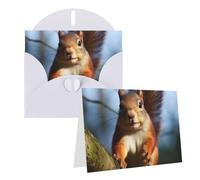 NONHAI Greetings Cards with Envelopes Thinking of You Card Squirrel Funny Animal Blank Note Card All Occasion Greeting Cards for Birthday, Baby Shower, Congratulations Wedding Thank You Card