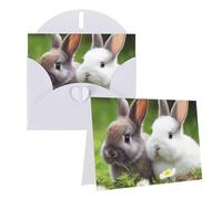 NONHAI Greetings Cards with Envelopes Thinking of You Card Two Little Cute Rabbits Blank Note Card All Occasion Greeting Cards for Birthday, Baby Shower, Congratulations Wedding Thank You Card
