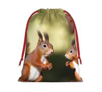 NONHAI Holiday Drawstring Gift Bags Cute Squirrels Wrapping Sacks Pouches for Xmas Presents Craft Jewelry Pouches Christmas Candy Bag for Wedding Party Favor Wrapping Bags