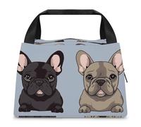 NONHAI Insulated Lunch Bag for Women Men Leakproof Reusable Lunch Box French Bulldog Cooler Bag for Work Office Picnic Beach