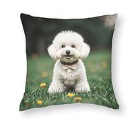 NONHAI Throw Pillow Covers Bichon Frise Dog on The Grass Pillow Covers Soft Cushion Cases Square Pillow Case Modern Double-Sided Designs Pillowcase for Home Couch Car 17"x17"