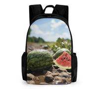 NONHAI Watermelon on The Ground Travel Backpack for Women Men Carry On Backpack Lightweight 15.6inch Laptop Backpack