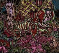 Nonstop - J'Ai Rien Compris mais Je suis d'accord