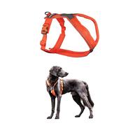 Nonstop Line Harness, Chest Harness, Guide Harness for Dogs, Adjustable Size (5, Orange)