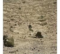 Ben Howard Noonday Dream Double LP Vinyl 6748941 NEW