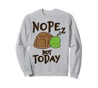 Nope Not Today Sleeping Turtle Lazy Mood Funny Animal Quote Sweatshirt