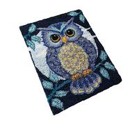 NOPEILVI Latch Hook Rug Kit, Rug Making Hook Rug Kit DIY Owl Crochet Carpet Embroidery Rug Making Kits for Adults Kids 50x38cm