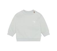 Noppies Unisex Baby Sweater LS Unisex Jumper, Green Tint - N457, 50 cm