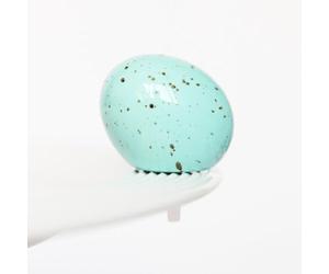 Nora Fleming Eggstra-Ordinary (Robins Egg) A426 Hand-Painted Ceramic Floral Décor - Spring Minis for The Home and Office