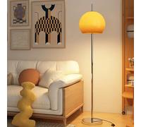 Nordic 63" ge Globe Glass Floor Lamp Silver Floor Light E26 Dimmable Tall Lamp with Foot Switch Iron Standing Light for Living Room Reading Room Bedroom Villa