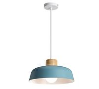 Nordic LED Pendant Lights Modern Circular Chandelier Creative Hanging Lamp Height Adjustable for Kitchen Island Bedroom Restaurant Bedside Light(Blue Hair,38cm/15inch)