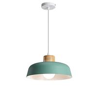Nordic LED Pendant Lights Modern Circular Chandelier Creative Hanging Lamp Height Adjustable for Kitchen Island Bedroom Restaurant Bedside Light(G,30cm/11.8in)