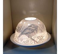 Nordic Lights Robin (Stencil) Candle Shade