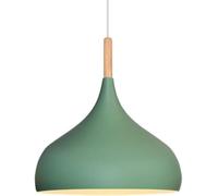 Nordic Minimalist Pendant Lighting Fixture Single Head Hanging Light Personalized Bar Chandeliers Design for Restaurants, Shopping Malls, Homes, Dining Rooms(Green,24 * 30cm)