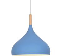 Nordic Minimalist Pendant Lighting Fixture Single Head Hanging Light Personalized Bar Chandeliers Design for Restaurants, Shopping Malls, Homes, Dining Rooms(Blue,24 * 30cm)