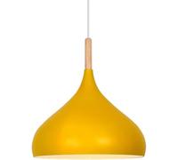 Nordic Minimalist Pendant Lighting Fixture Single Head Hanging Light Personalized Bar Chandeliers Design for Restaurants, Shopping Malls, Homes, Dining Rooms(Yellow,24 * 30cm)